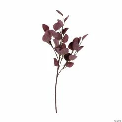Cheapest 🎁 Burgundy Eucalyptus Stems - 2 Pc. ⭐