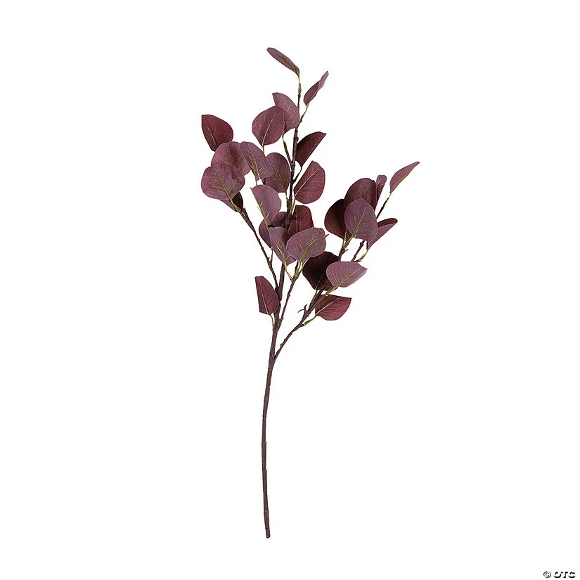 Cheapest π Burgundy Eucalyptus Stems - 2 Pc. β 3 Cheapest π Burgundy Eucalyptus Stems - 2 Pc. β