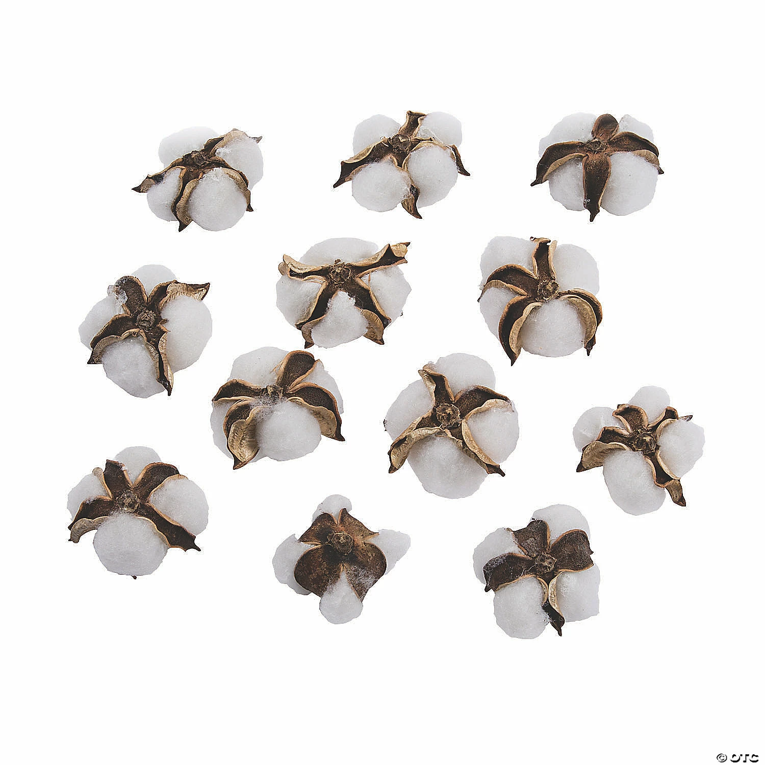 Top 10 π Cotton Stem Embellishments - 12 Pc. 𧨠3 Top 10 π Cotton Stem Embellishments - 12 Pc. π§¨