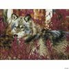 Flash Sale 👍 Diamond Dotz Squares Facet Art Advanced Autumn Wolf       ✨ -Fall Crafts Sales diamond dotz squares facet art advanced autumn wolf14295594
