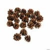 Best Pirce ⌛ Mini Natural Pinecones - 24 Pc. ✨