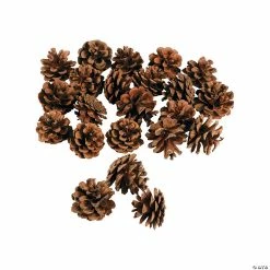 Best Pirce ⌛ Mini Natural Pinecones - 24 Pc. ✨