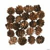 Buy โค๏ธ Mini Pinecones - 24 Pc. ๐ 1 Buy โค๏ธ Mini Pinecones - 24 Pc. ๐ -Fall Crafts Sales mini pinecones 24 pc 13777452