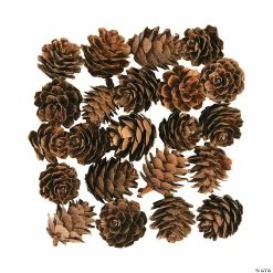 Buy ❤️ Mini Pinecones - 24 Pc. 🎁