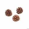 Best Sale π₯ Natural Pinecones - 12 Pc. π 1 Best Sale π₯ Natural Pinecones - 12 Pc. π -Fall Crafts Sales natural pinecones 12 pc 13751507