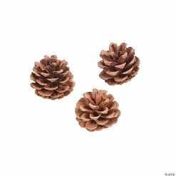 Best Sale 🔥 Natural Pinecones - 12 Pc. 🌟