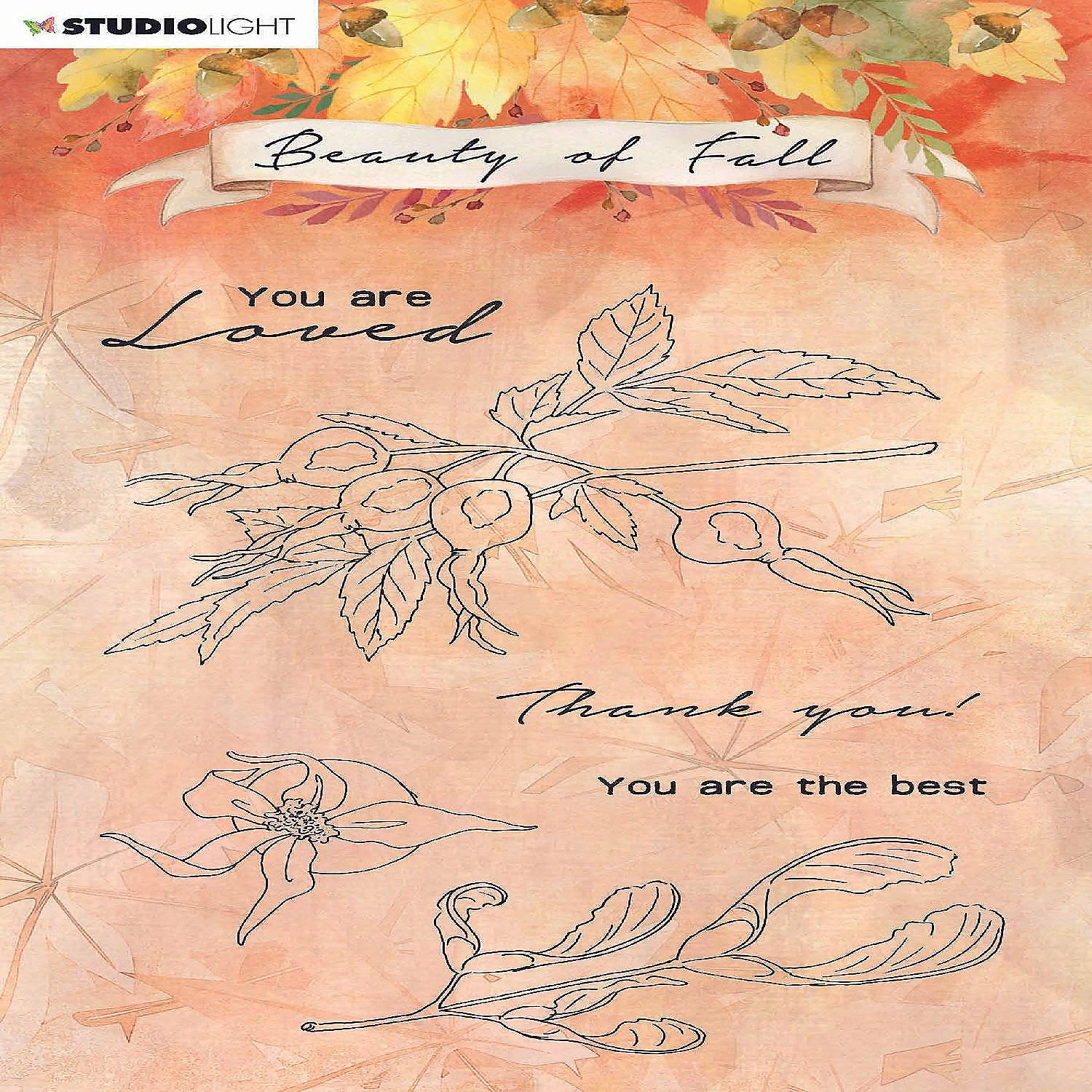 Best deal 🥰 Studio Light SL Clear Stamp Rose Hips Beauty Of Fall 105x148mm nr64 🔥 3 Best deal 🥰 Studio Light SL Clear Stamp Rose Hips Beauty Of Fall 105x148mm nr64 🔥