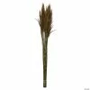 Buy β¨ Vickerman 36" Aspen Gold Plume Reed 2 Pack Bundle π₯ 1 Buy β¨ Vickerman 36" Aspen Gold Plume Reed 2 Pack Bundle π₯ -Fall Crafts Sales vickerman 36 aspen gold plume reed 2 pack bundle13968686