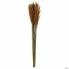 Budget 🥰 Vickerman 36" Autumn Plume Reed 2 Pack Bundle 😉 -Fall Crafts Sales vickerman 36 autumn plume reed 2 pack bundle13968687