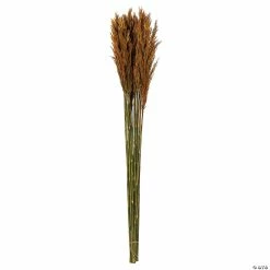 Budget 🥰 Vickerman 36" Autumn Plume Reed 2 Pack Bundle 😉