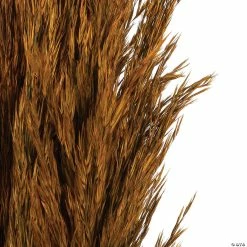 Budget 🥰 Vickerman 36" Autumn Plume Reed 2 Pack Bundle 😉 -Fall Crafts Sales vickerman 36 autumn plume reed 2 pack bundle13968687 a03
