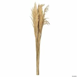 Coupon 🌟 Vickerman 36" Bleached Plume Reed 2 Pack Bundle 😀
