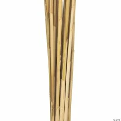 Coupon 🌟 Vickerman 36" Bleached Plume Reed 2 Pack Bundle 😀 -Fall Crafts Sales vickerman 36 bleached plume reed 2 pack bundle13968689 a02