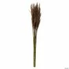 Cheapest 🤩 Vickerman 36" Brown Plume Reed 2 Pack Bundle ⭐ -Fall Crafts Sales vickerman 36 brown plume reed 2 pack bundle13968688
