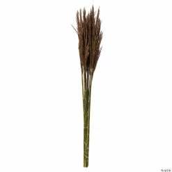 Cheapest 🤩 Vickerman 36" Brown Plume Reed 2 Pack Bundle ⭐