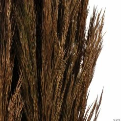 Cheapest 🤩 Vickerman 36" Brown Plume Reed 2 Pack Bundle ⭐ -Fall Crafts Sales vickerman 36 brown plume reed 2 pack bundle13968688 a02