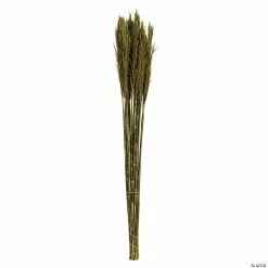Buy 🧨 Vickerman 36" Green Plume Reed 2 Pack Bundle ✔️