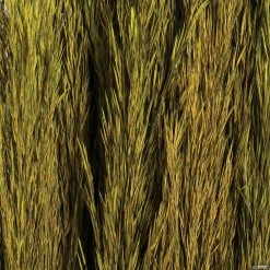 Buy ๐งจ Vickerman 36" Green Plume Reed 2 Pack Bundle โ๏ธ 9 Buy ๐งจ Vickerman 36" Green Plume Reed 2 Pack Bundle โ๏ธ -Fall Crafts Sales vickerman 36 green plume reed 2 pack bundle13968684 a03