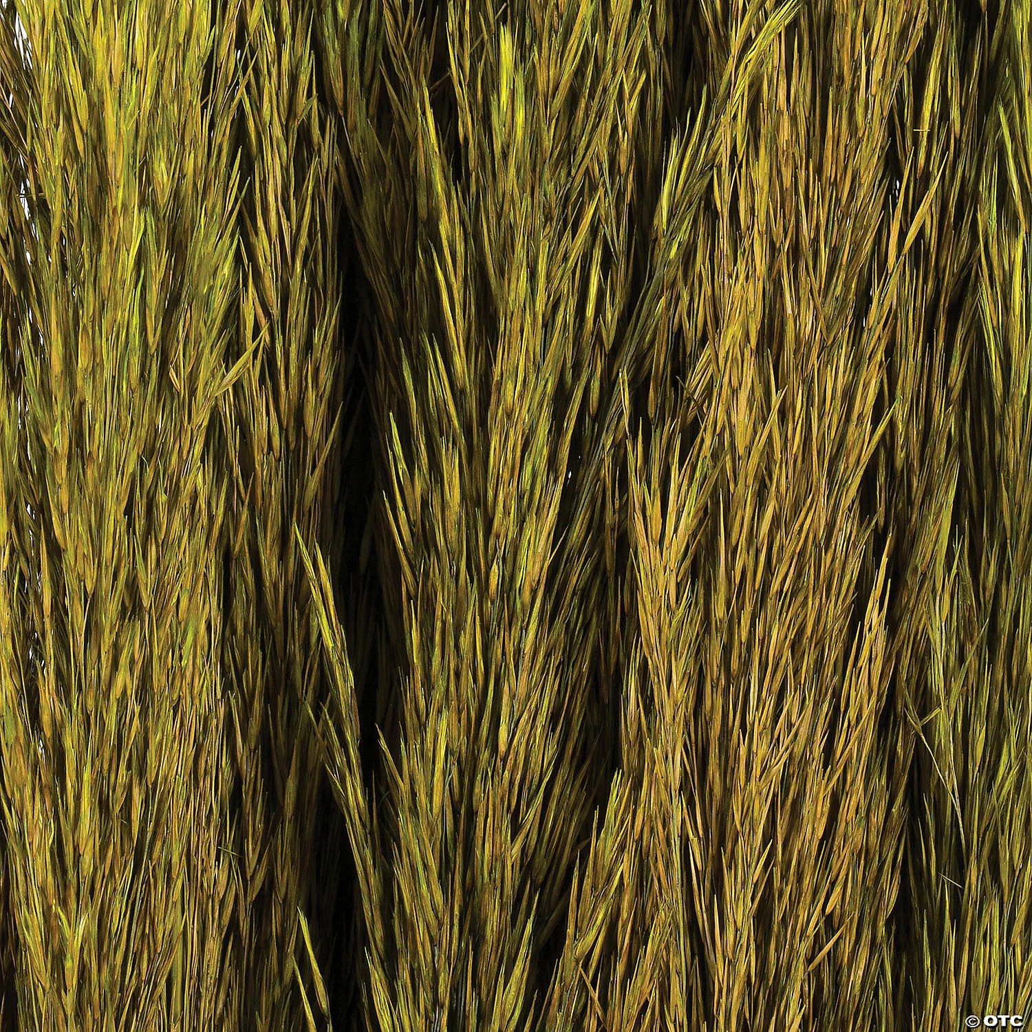 Buy ๐งจ Vickerman 36" Green Plume Reed 2 Pack Bundle โ๏ธ 6 Buy ๐งจ Vickerman 36" Green Plume Reed 2 Pack Bundle โ๏ธ - Image 4
