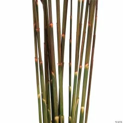 Best Sale 🔥 Vickerman 36" Merlot Plume Reed Plume Reed 2 Pack Bundle ✔️ -Fall Crafts Sales vickerman 36 merlot plume reed plume reed 2 pack bundle13968685 a02