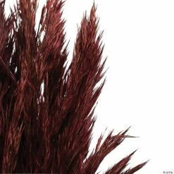 Best Sale 🔥 Vickerman 36" Merlot Plume Reed Plume Reed 2 Pack Bundle ✔️ -Fall Crafts Sales vickerman 36 merlot plume reed plume reed 2 pack bundle13968685 a03